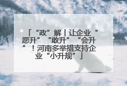 “政”解丨让企业“愿升”“敢升”“会升”！河南多举措支持企业“小升规”