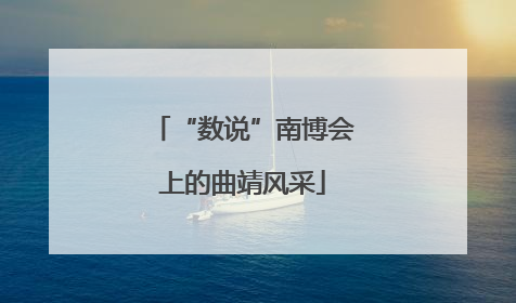 “数说”南博会上的曲靖风采