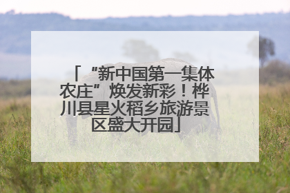 “新中国第一集体农庄”焕发新彩！桦川县星火稻乡旅游景区盛大开园