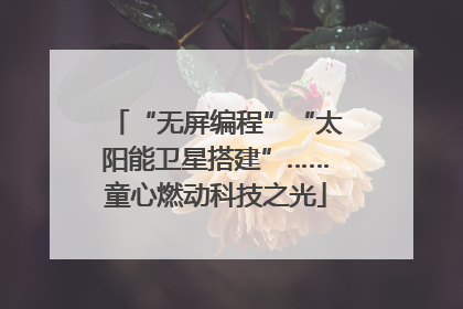 “无屏编程”“太阳能卫星搭建”……童心燃动科技之光