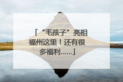 “毛孩子”亮相福州这里！还有很多福利……