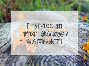 “歼-10CE和‘阵风’孰优孰劣？”官方回应来了