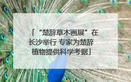 “楚辞草木画展”在长沙举行 专家为楚辞植物提供科学考据
