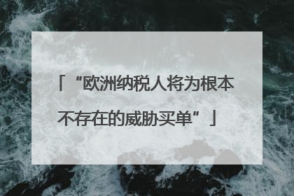 “欧洲纳税人将为根本不存在的威胁买单”