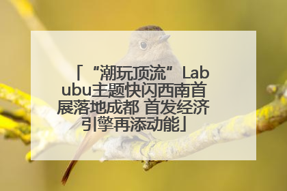 “潮玩顶流”Labubu主题快闪西南首展落地成都 首发经济引擎再添动能
