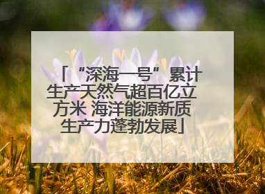 “深海一号”累计生产天然气超百亿立方米 海洋能源新质生产力蓬勃发展
