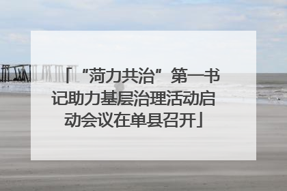 “菏力共治”第一书记助力基层治理活动启动会议在单县召开