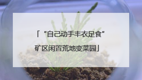 “自己动手丰衣足食”矿区闲置荒地变菜园