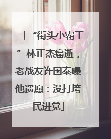 “街头小霸王”林正杰癌逝，老战友许国泰曝他遗愿：没打垮民进党