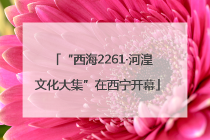 “西海2261·河湟文化大集”在西宁开幕