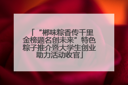 “郴味粽香传千里 金榜题名创未来”特色粽子推介暨大学生创业助力活动收官