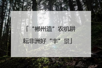 “郴州造”农机耕耘非洲好“丰”景
