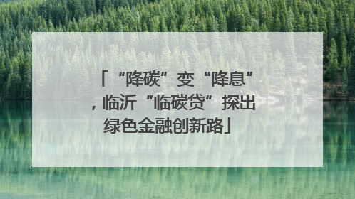 “降碳”变“降息”，临沂“临碳贷”探出绿色金融创新路