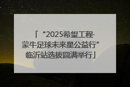 “2025希望工程·蒙牛足球未来星公益行”临沂站选拔圆满举行