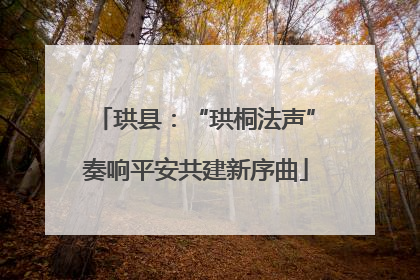 珙县：“珙桐法声”奏响平安共建新序曲
