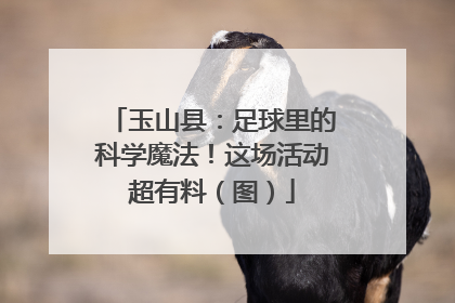 玉山县：足球里的科学魔法！这场活动超有料（图）