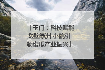 玉门：科技赋能戈壁绿洲 小院引领蜜瓜产业振兴