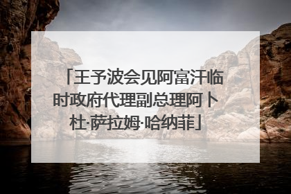 王予波会见阿富汗临时政府代理副总理阿卜杜·萨拉姆·哈纳菲