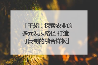 王超：探索农业的多元发展路径 打造可复制的融合样板