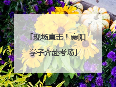 现场直击！襄阳学子奔赴考场