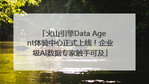 火山引擎Data Agent体验中心正式上线！企业级AI数据专家触手可及