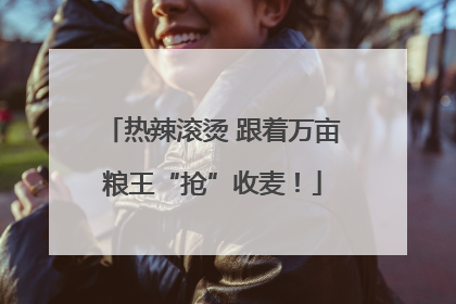 热辣滚烫 跟着万亩粮王“抢”收麦！