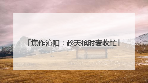 焦作沁阳：趁天抢时麦收忙