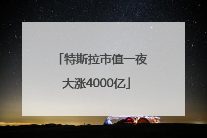 特斯拉市值一夜大涨4000亿