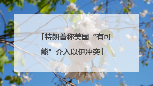 特朗普称美国“有可能”介入以伊冲突