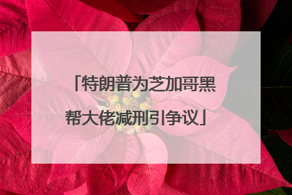 特朗普为芝加哥黑帮大佬减刑引争议
