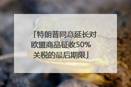 特朗普同意延长对欧盟商品征收50%关税的最后期限