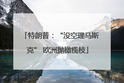 特朗普：“没空理马斯克” 欧洲抛橄榄枝