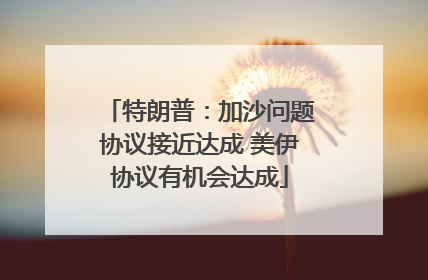 特朗普：加沙问题协议接近达成 美伊协议有机会达成
