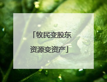 牧民变股东 资源变资产