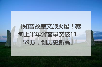 知音故里文旅火爆！蔡甸上半年游客量突破1159万，创历史新高