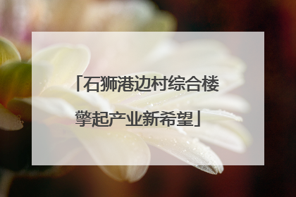 石狮港边村综合楼擎起产业新希望