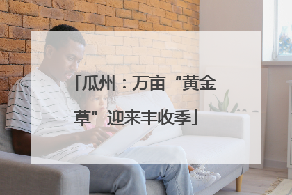 瓜州：万亩“黄金草”迎来丰收季