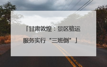 甘肃敦煌：景区骆运服务实行“三班倒”