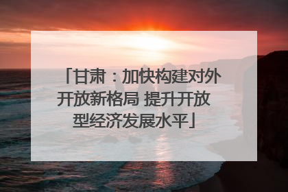 甘肃：加快构建对外开放新格局 提升开放型经济发展水平