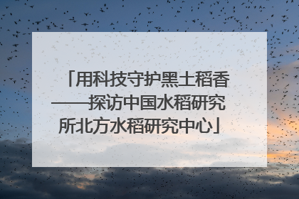用科技守护黑土稻香——探访中国水稻研究所北方水稻研究中心