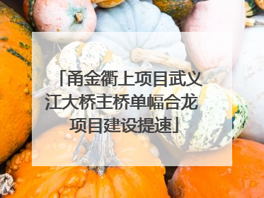 甬金衢上项目武义江大桥主桥单幅合龙 项目建设提速