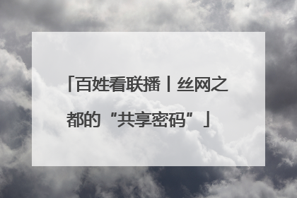 百姓看联播丨丝网之都的“共享密码”