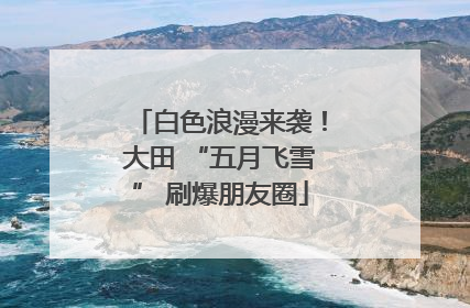 白色浪漫来袭！大田 “五月飞雪” 刷爆朋友圈