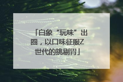 白象“玩味”出圈，以口味征服Z世代的挑剔胃