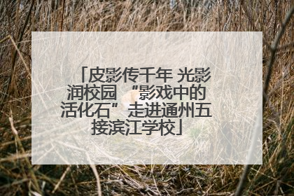 皮影传千年 光影润校园 “影戏中的活化石”走进通州五接滨江学校