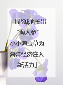 盐碱地长出“海人参” 小小海虫草为海洋经济注入新活力