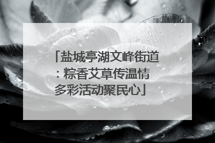 盐城亭湖文峰街道：粽香艾草传温情 多彩活动聚民心