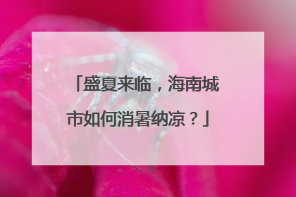 盛夏来临，海南城市如何消暑纳凉？