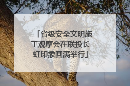 省级安全文明施工观摩会在联投长虹印象圆满举行