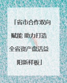 省市合作双向赋能 助力打造全省资产盘活益阳新样板